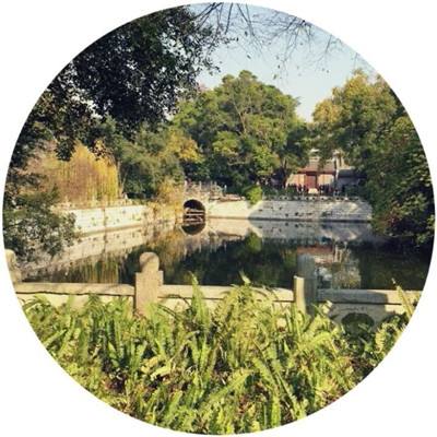 万灵启源台服下载