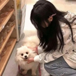 卧虎藏龙2手游bt版下载